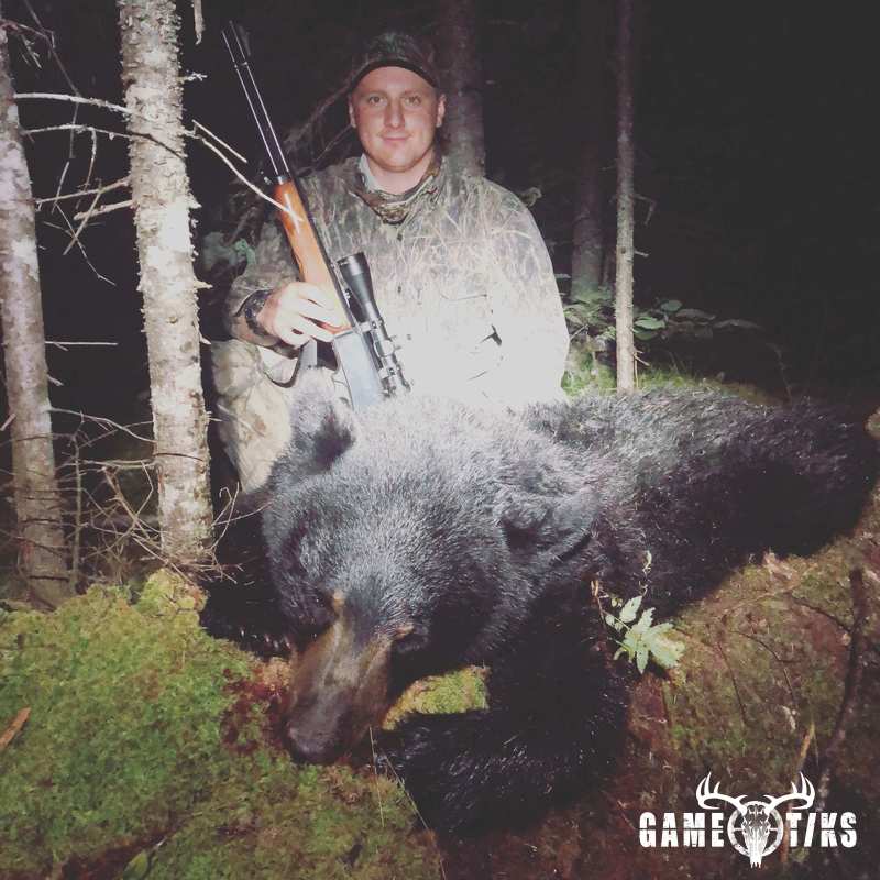 bear harvest by Brody Gibbs