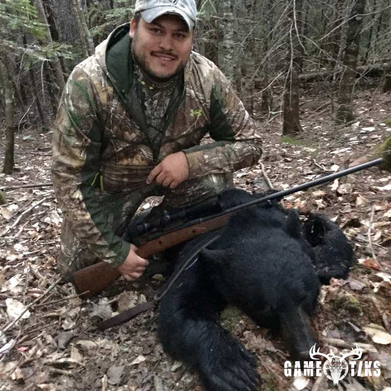 bear harvest by Jeremiah Greenland
