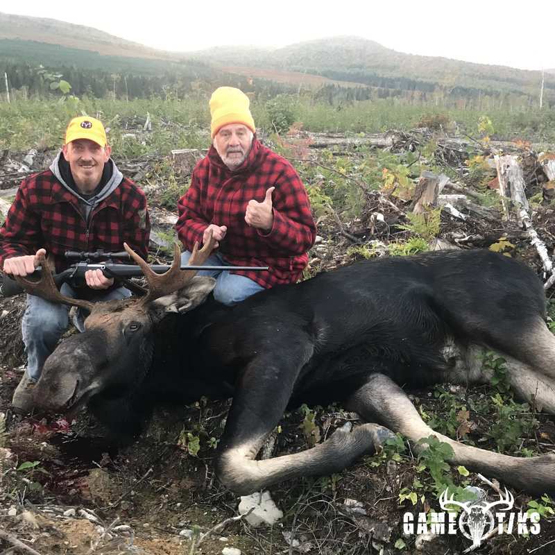 moose harvest by Erik Gagnon