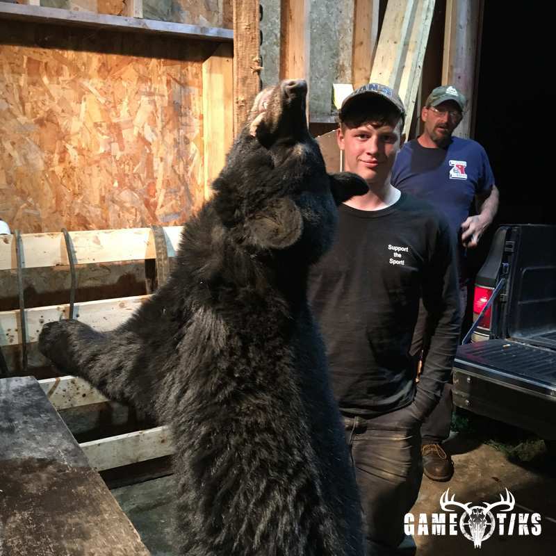 bear harvest by Twisted Timber Guide Service