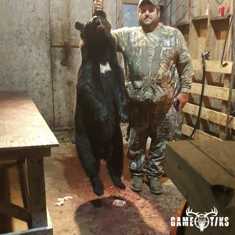 bear harvest by Twisted Timber Guide Service