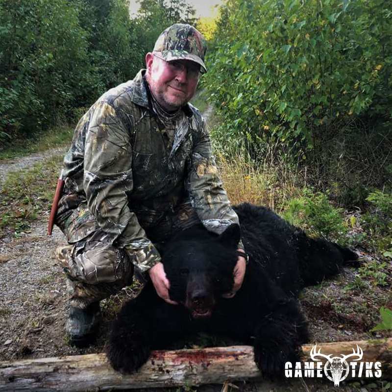 bear harvest by Jeff Cash
