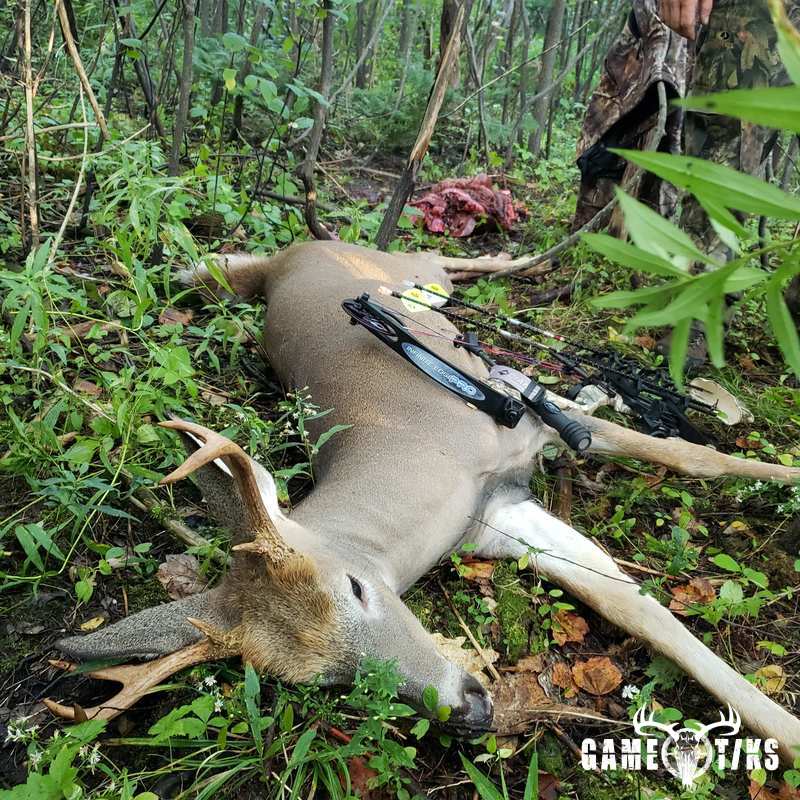deer harvest by James Pace