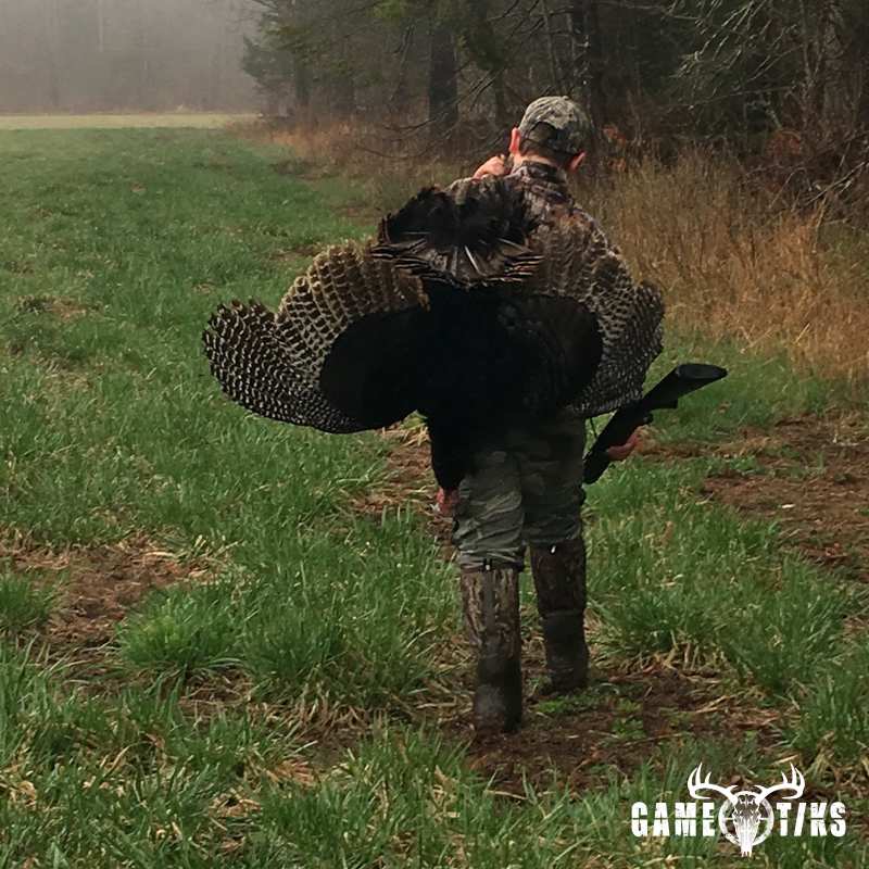 turkey harvest by Chuck Penney