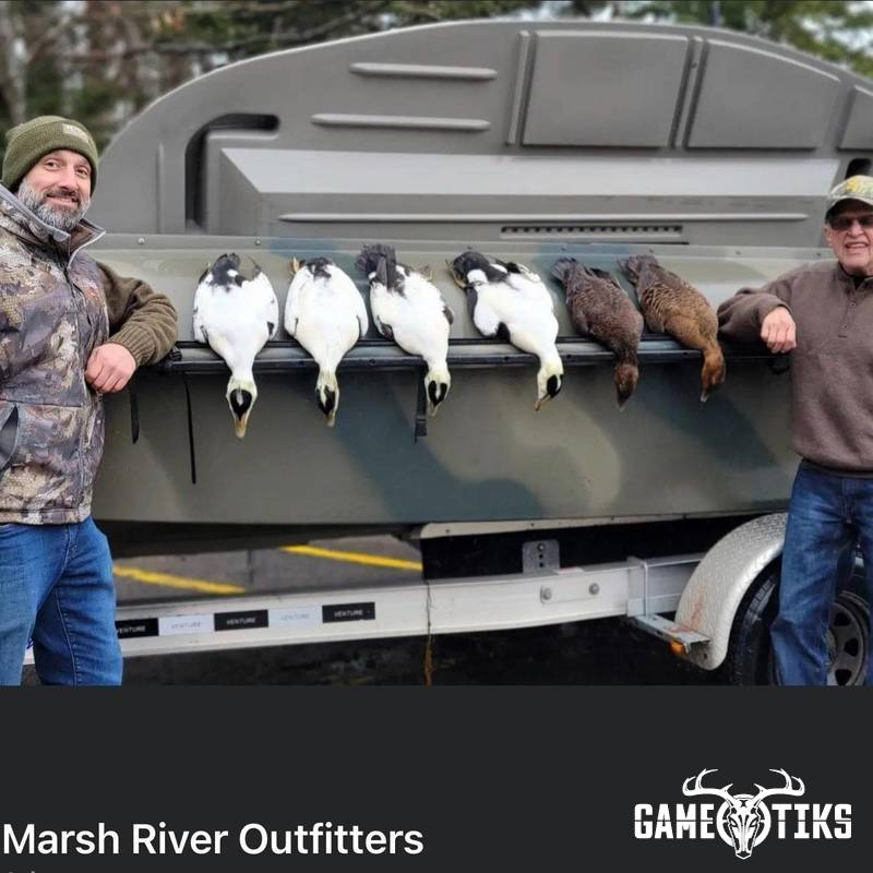 waterfowl