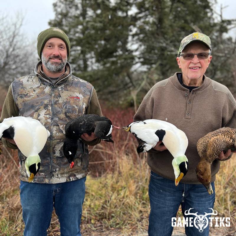 waterfowl