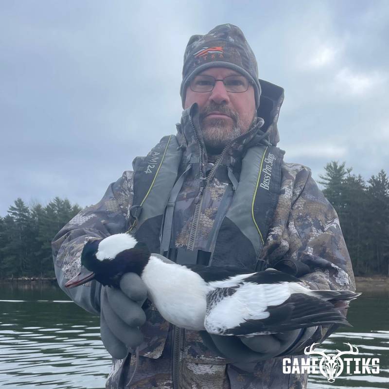 waterfowl