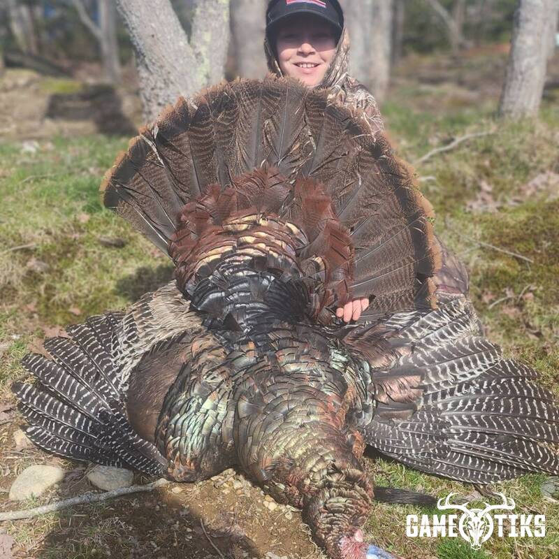 turkey