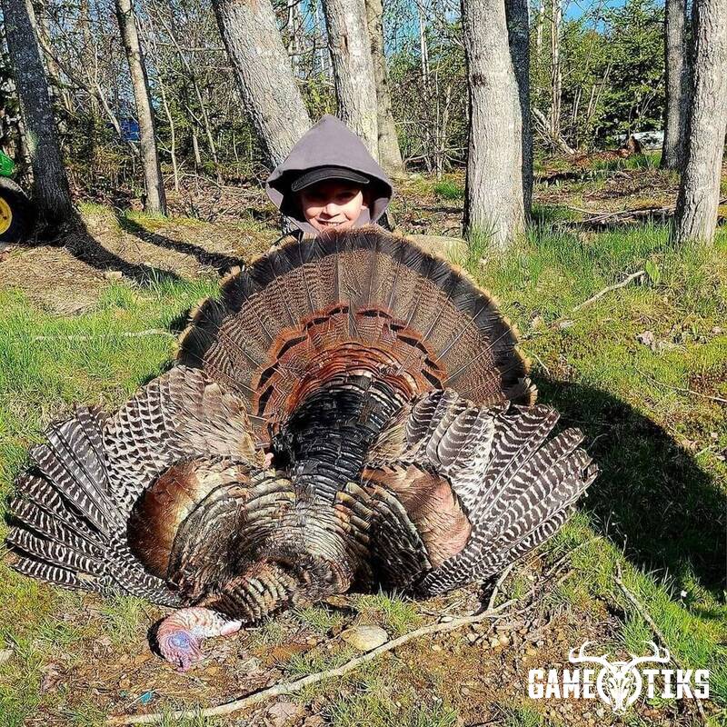 turkey