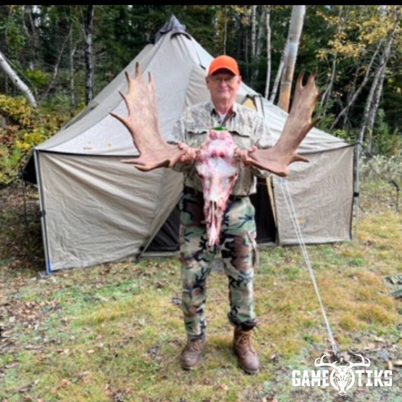 moose