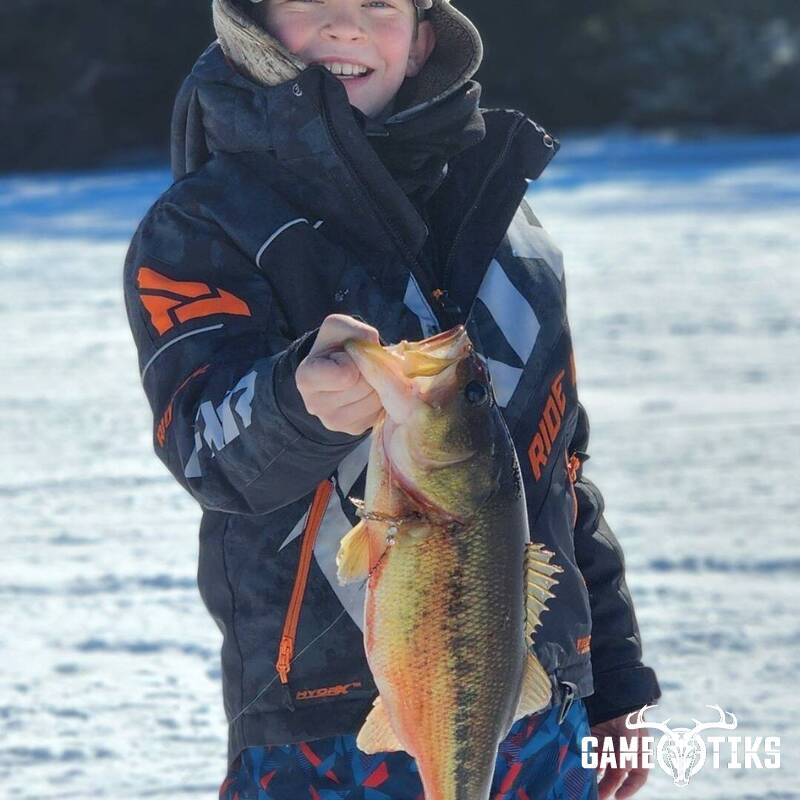 fish