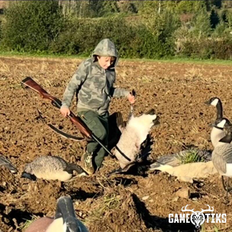 waterfowl