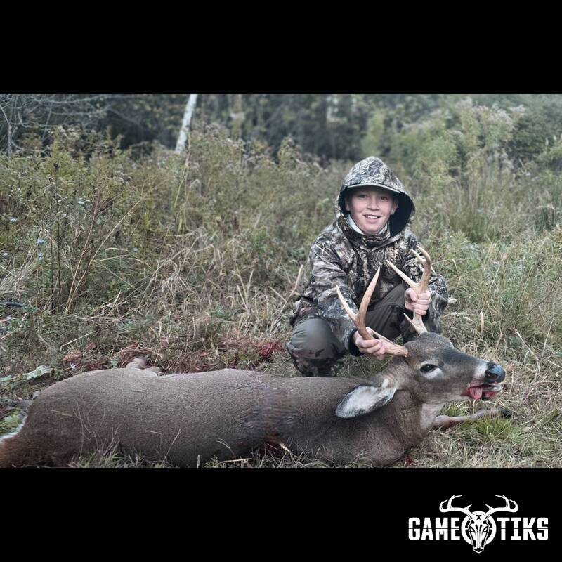 deer