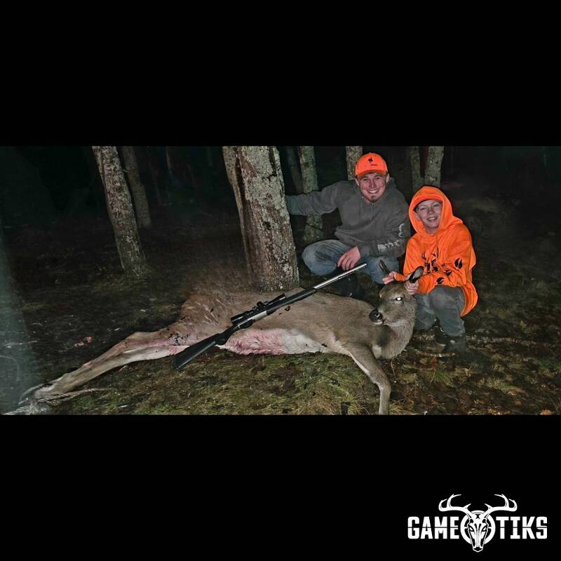 deer