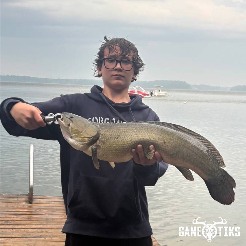 freshwater_fish