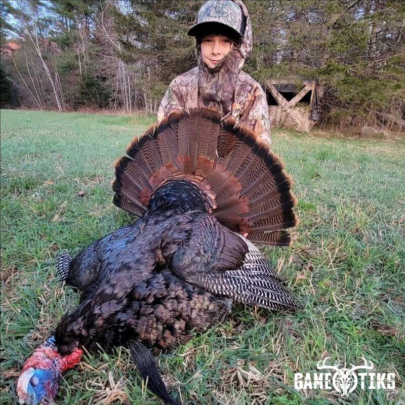 turkey