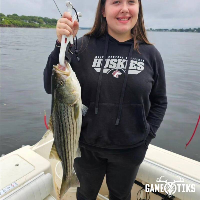 fish