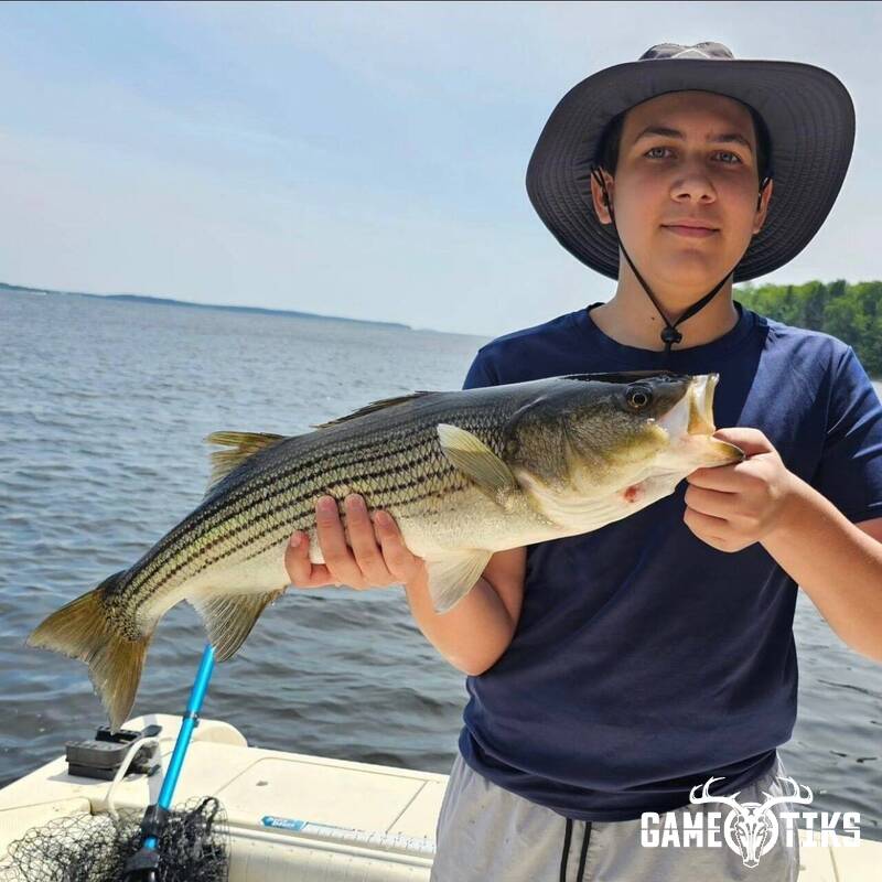 fish