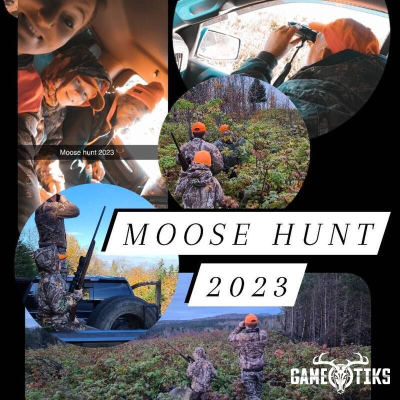 moose