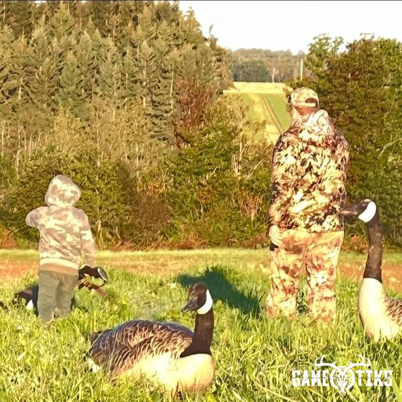 waterfowl