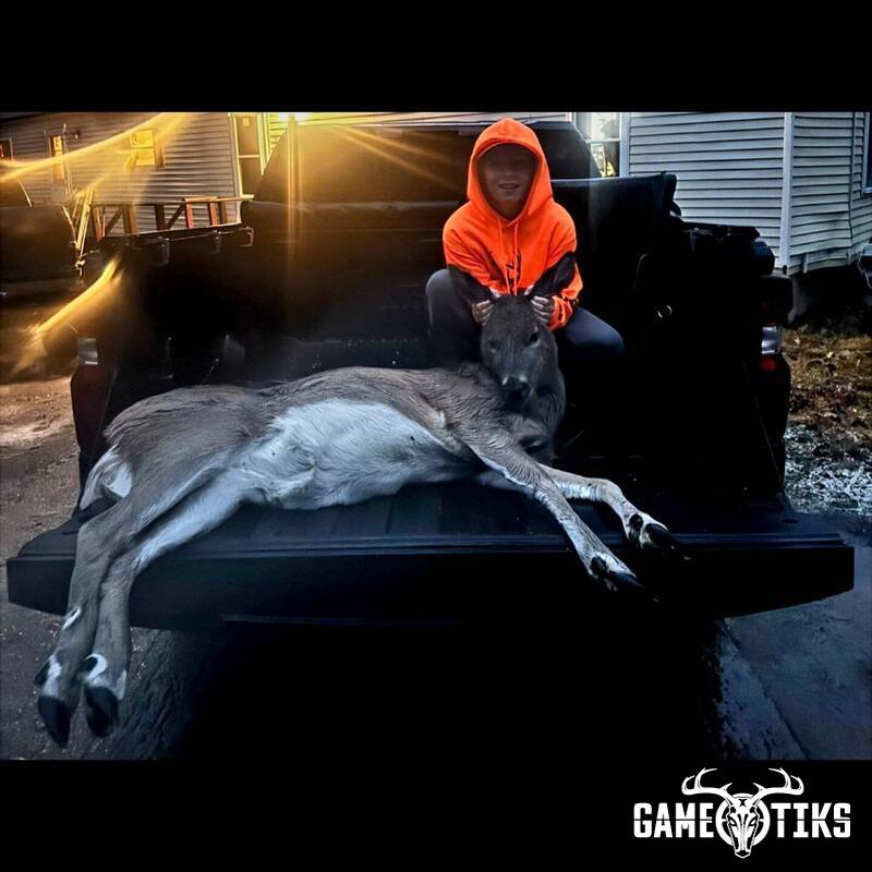 deer