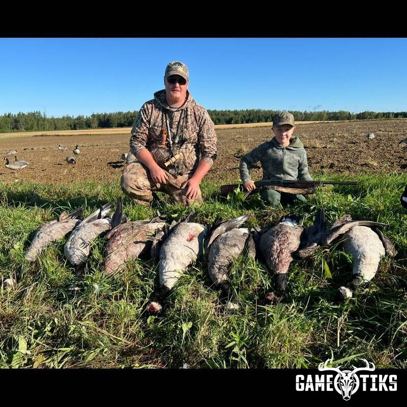waterfowl