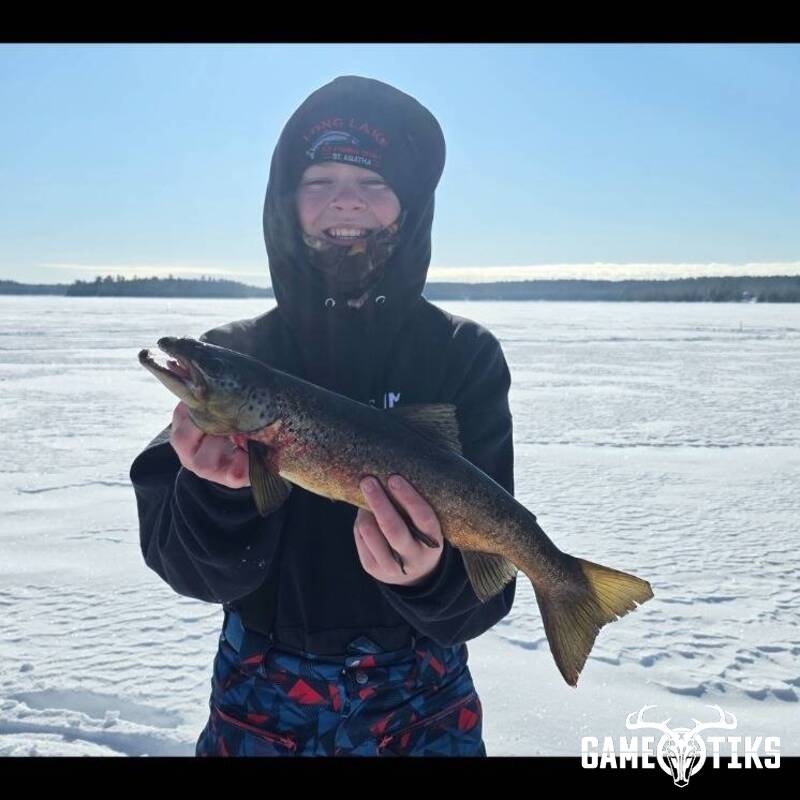 freshwater_fish
