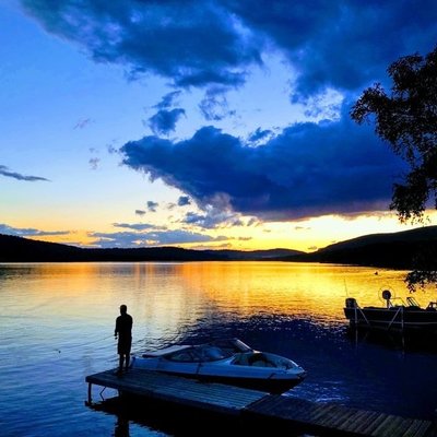 Matt Porter profile