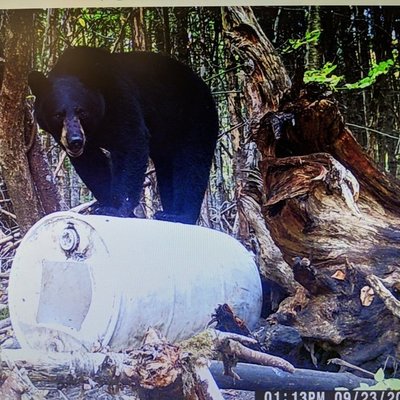 Senneterre Outfitters