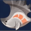 Common Axehead Fish