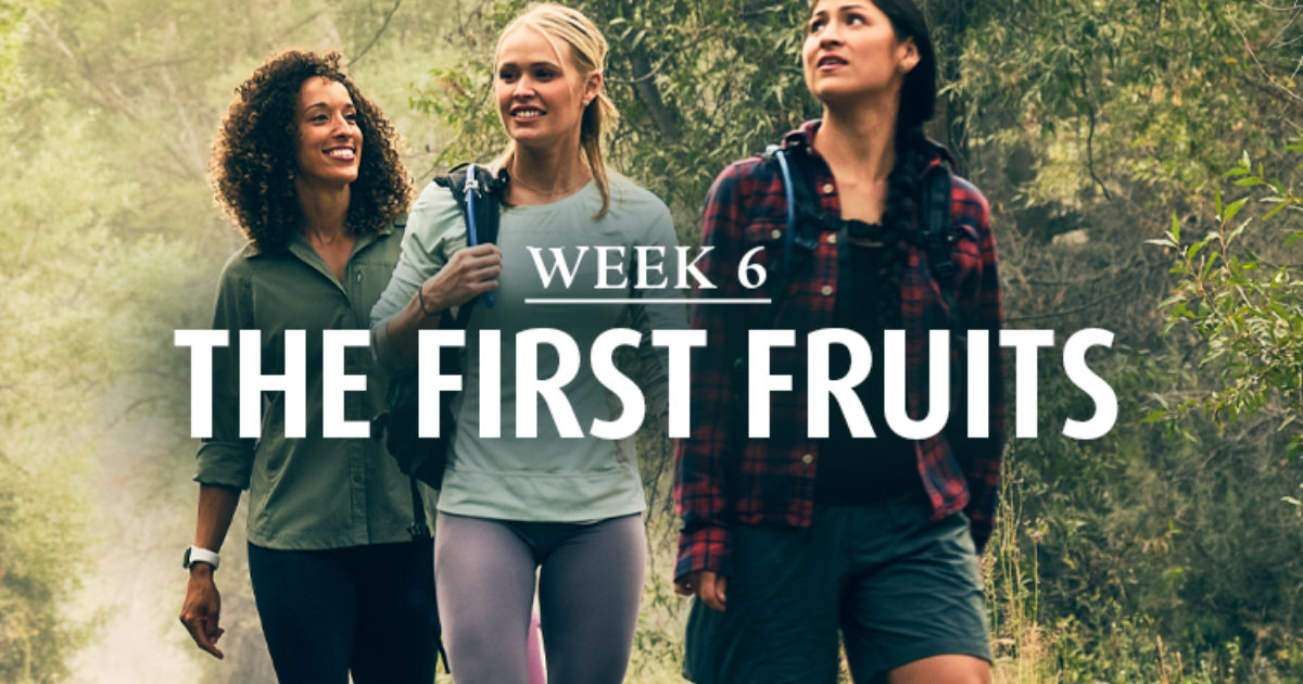 Discipleship Ministries Sixth Sunday after the Epiphany, Year C