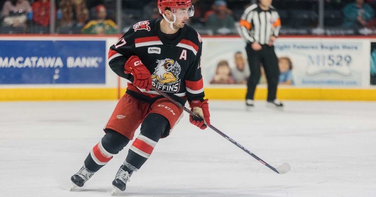 Grand Rapids Griffins Detroit Sends Seven Players to Griffins