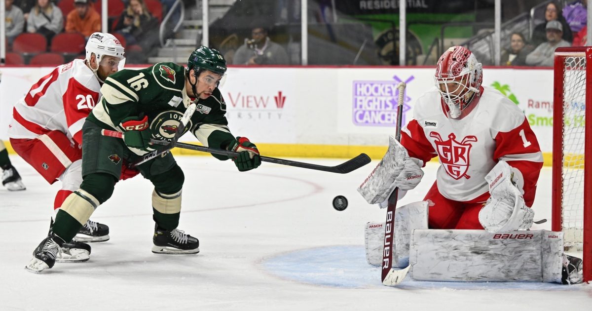 Grand Rapids Griffins | New Destinations