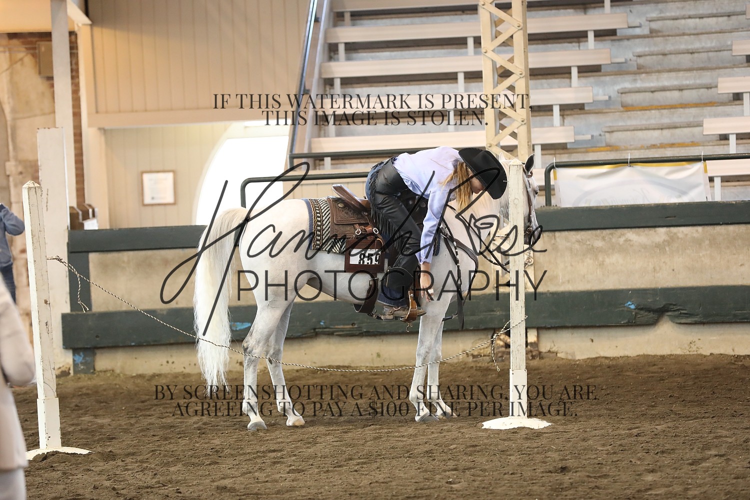 Iowa aha fall classic find your photos 2023 horse shows hannah
