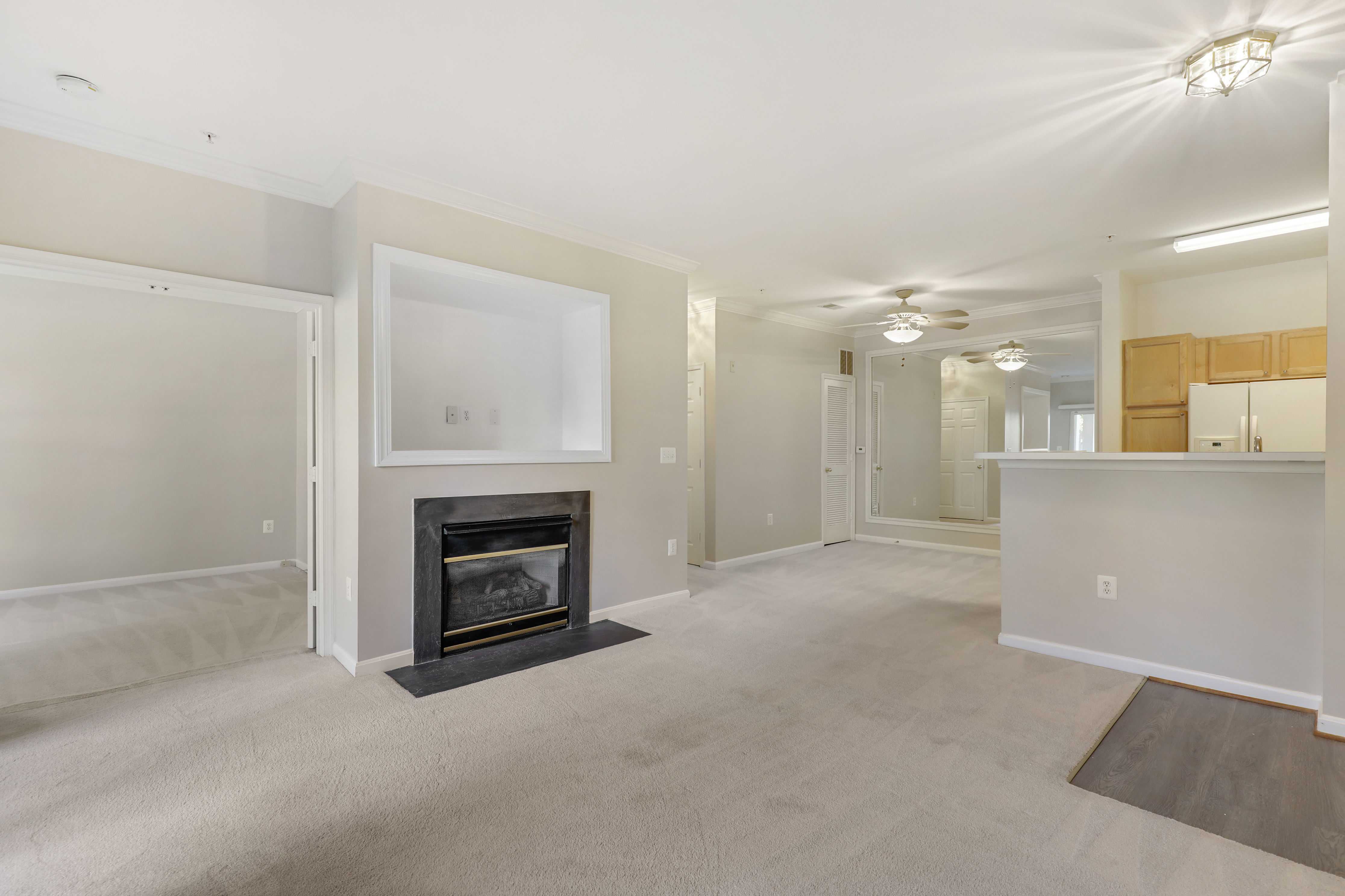3517 Piney Woods Place