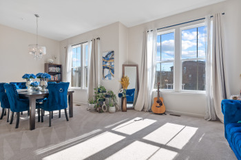 Let the natural light in! 2 large double windows.