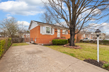 Front yard with driveway