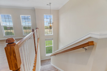 Stairs with light colored carpet, crown molding, and a chandelier