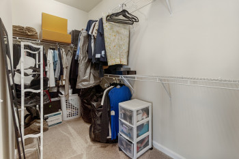 Walk in closet with carpet flooring