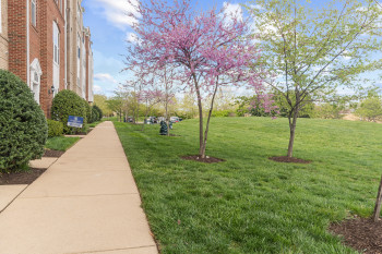 View of home's community with a yard