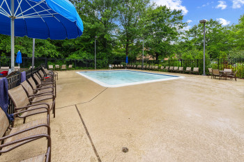 Community pool with a patio and view of scattered trees