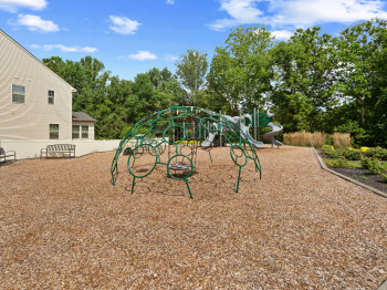 Community jungle gym featuring view of wooded area