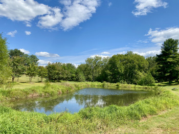 View of the pond from the barn