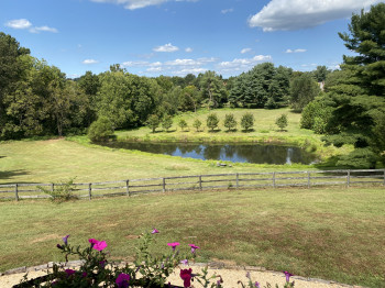 View of pond from the deck