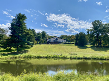 Pond