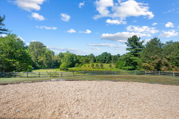 View from patio over the pond