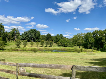 View of the pond from the barn