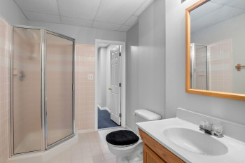 Lower Level 5th Full Bathroom!