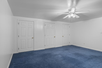 Large Lower Level 5th Bedroom