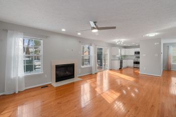 Family Room/Fire Place